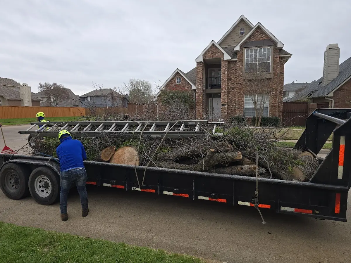 Expert Tree Pest Control with proper safety equipment in Big Cove Tannery
